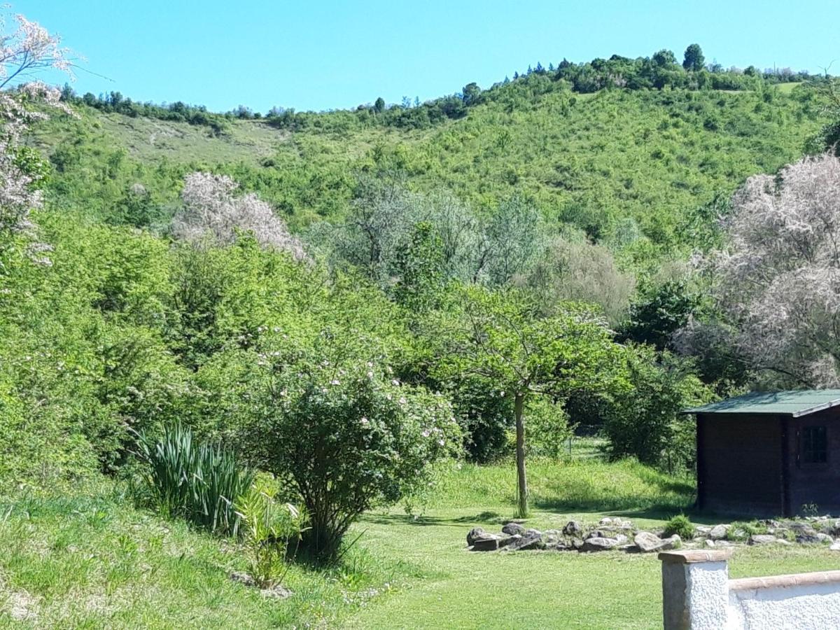 Il Baiocchino Bed and Breakfast Castel San Pietro Terme Eksteriør billede